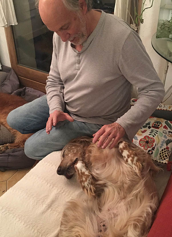 Séances de magnetisme pour chien