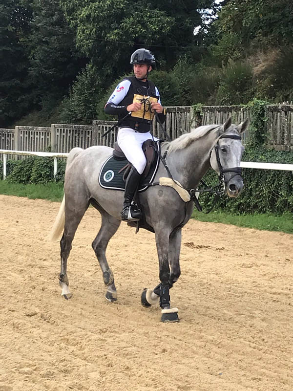 Douleurs ligamentaires cheval par surentraînement